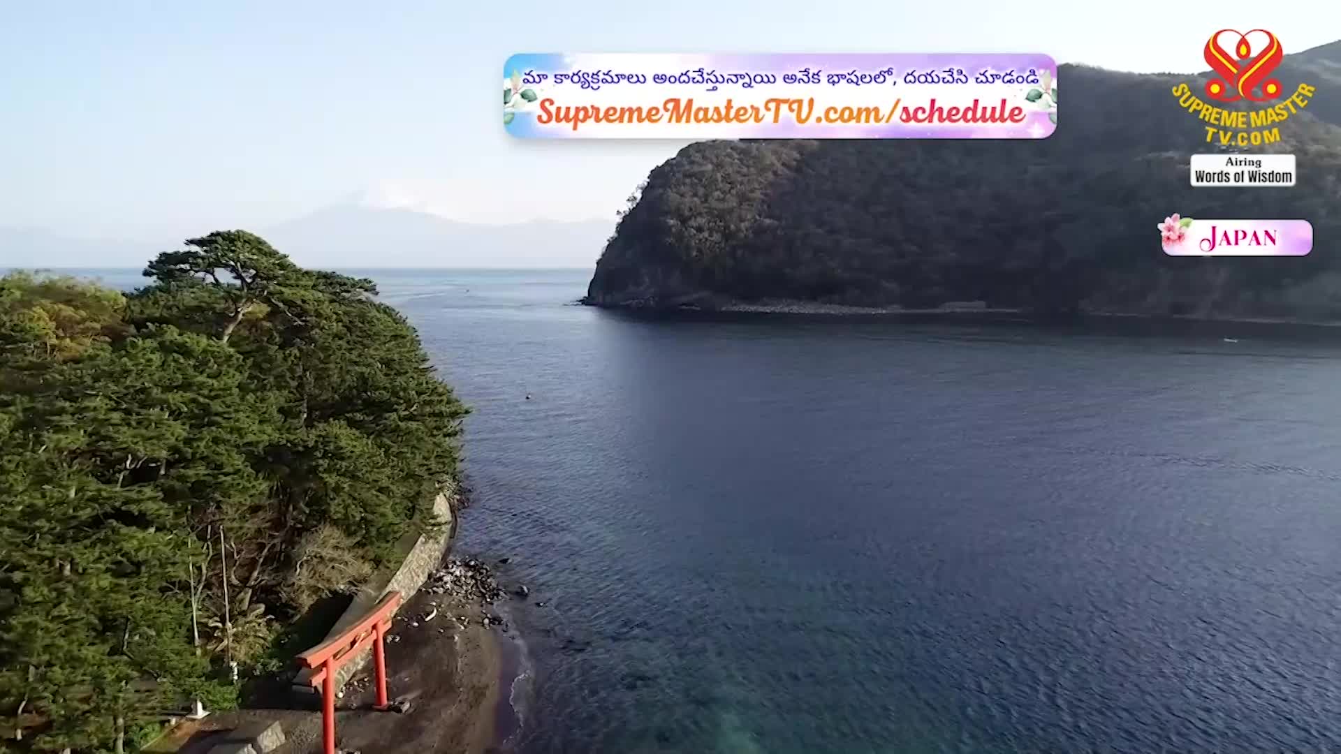 Thumbnail image for Supreme Master Television