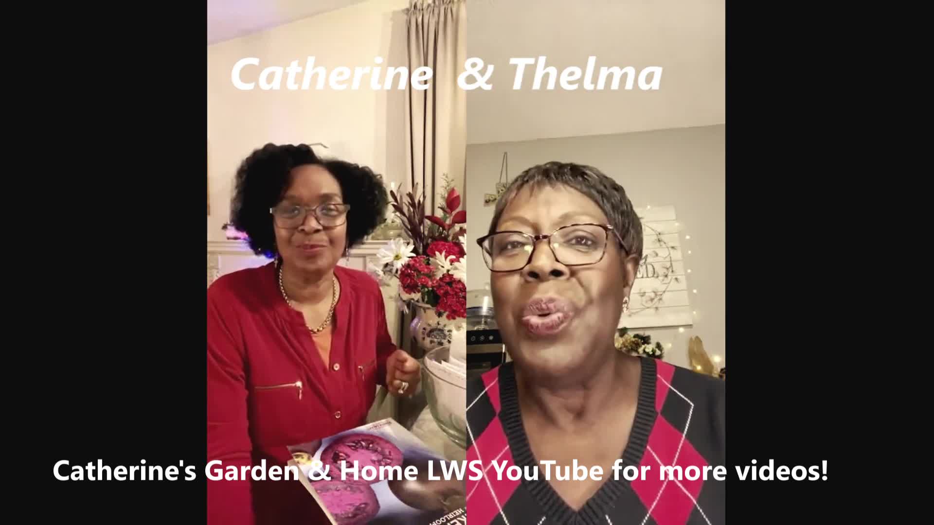 Thumbnail image for Lady Wisdom Speaks!