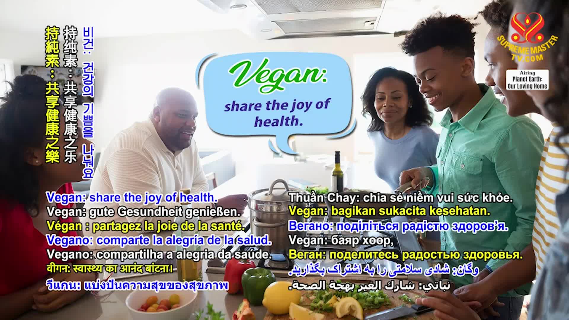 Thumbnail image for Supreme Master Television