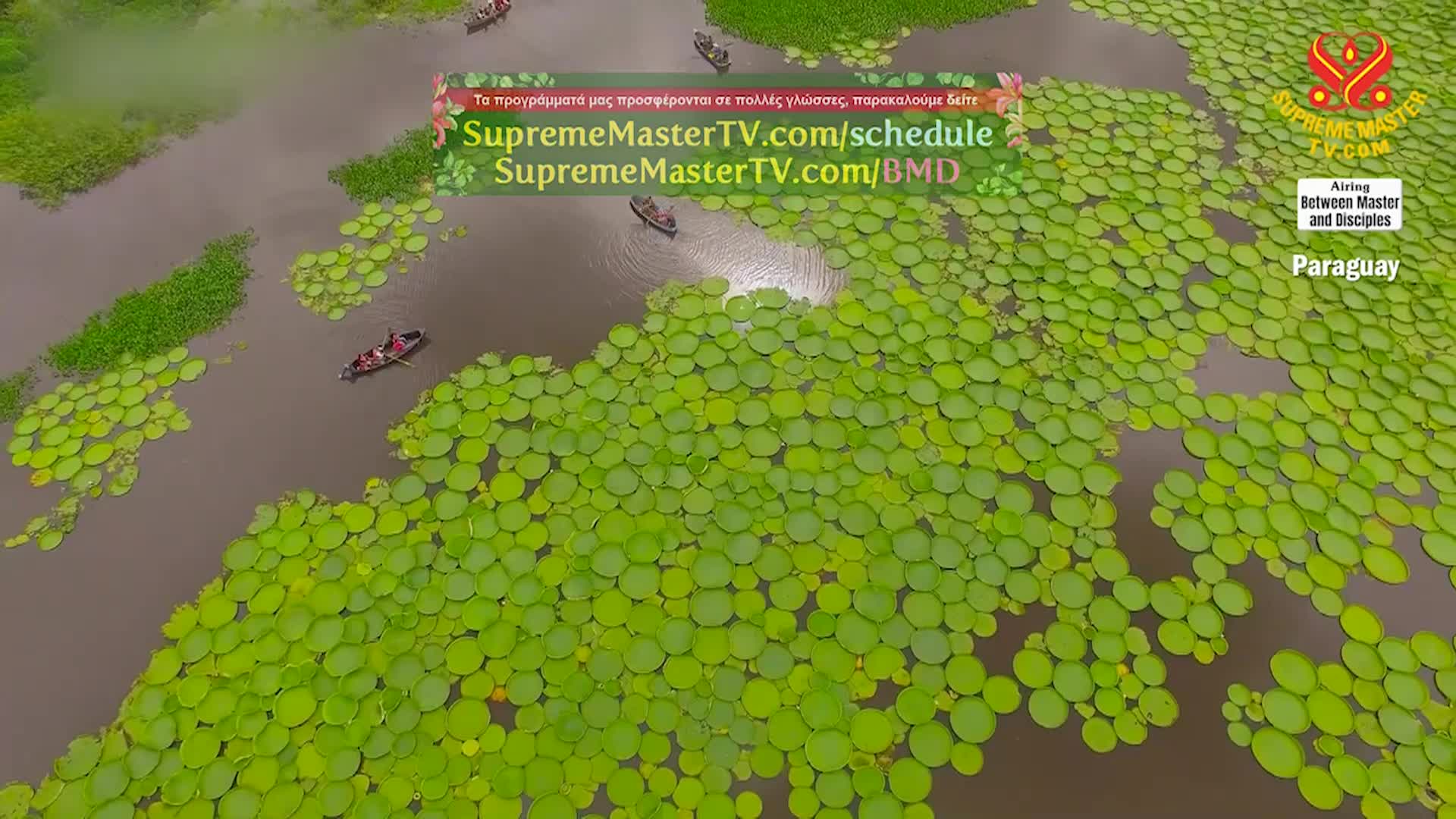 Thumbnail image for Supreme Master Television