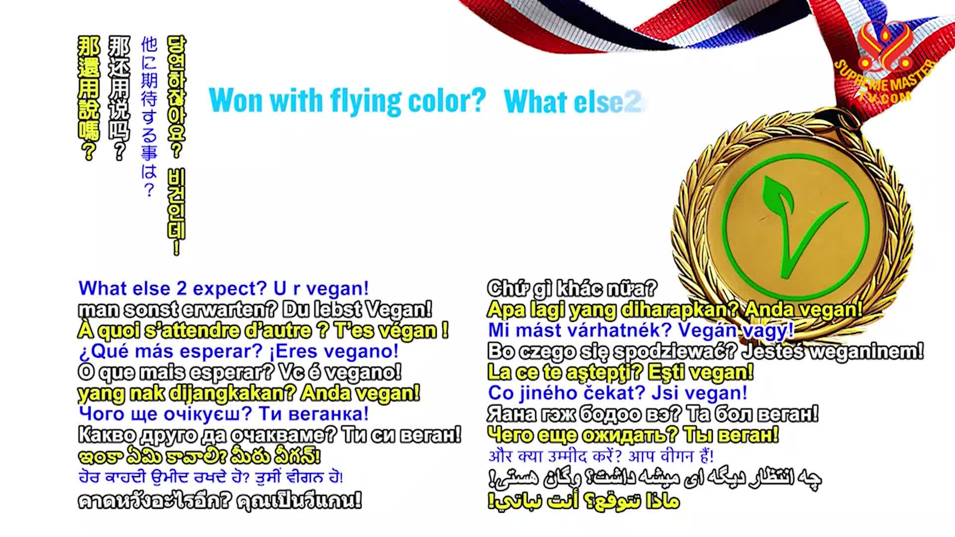 Thumbnail image for Supreme Master Television