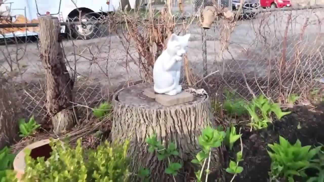 Thumbnail image for Lady Wisdom Speaks!