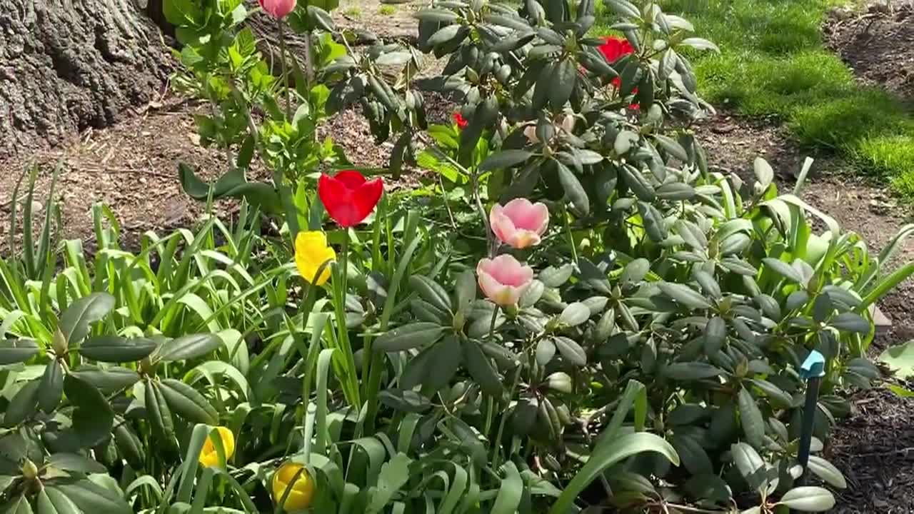 Thumbnail image for Lady Wisdom Speaks!