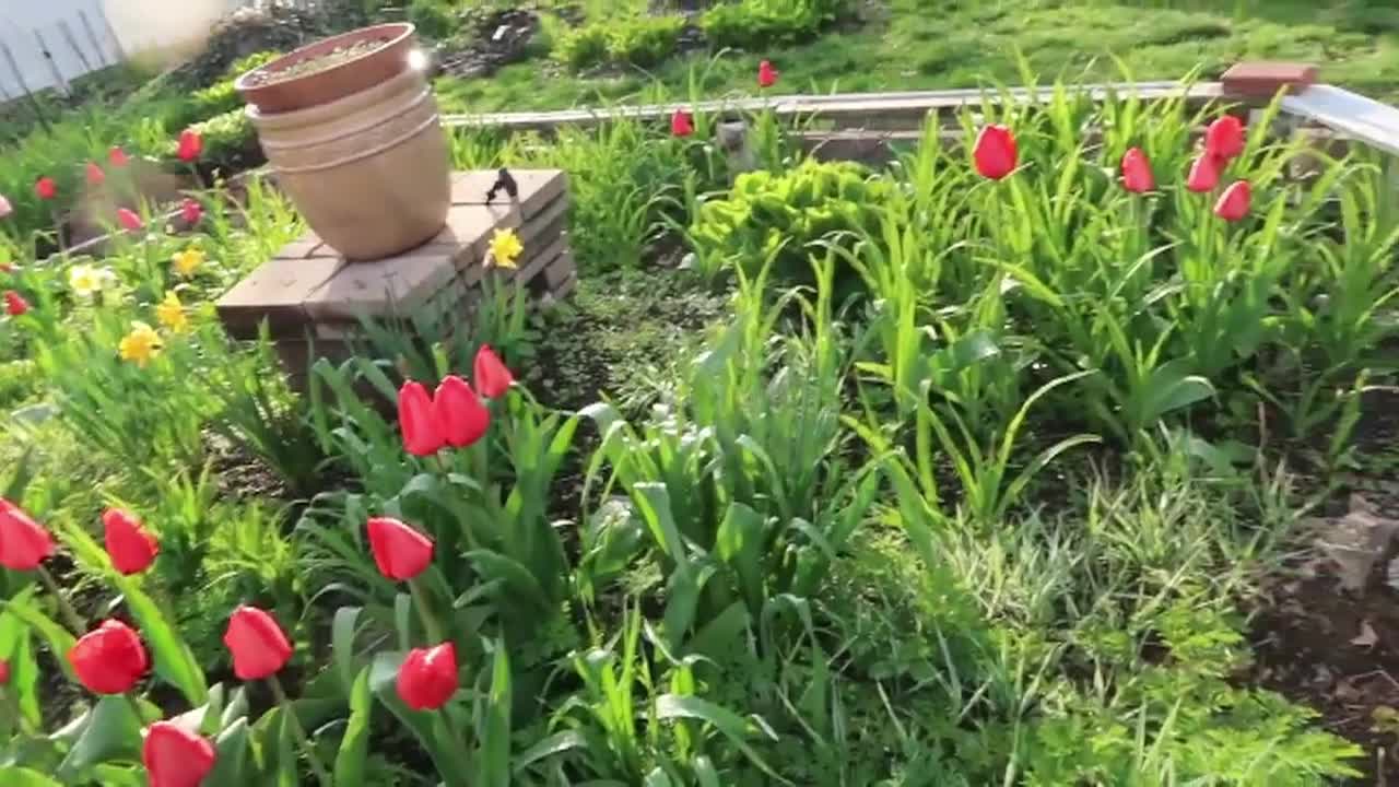 Thumbnail image for Lady Wisdom Speaks!