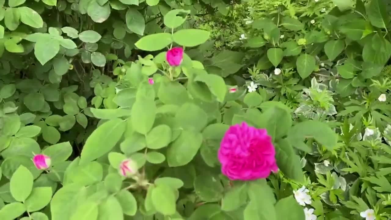 Thumbnail image for Lady Wisdom Speaks!