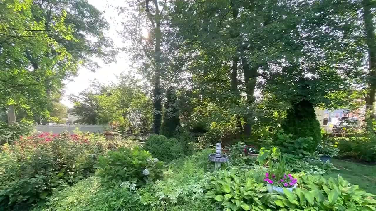 Thumbnail image for Lady Wisdom Speaks!