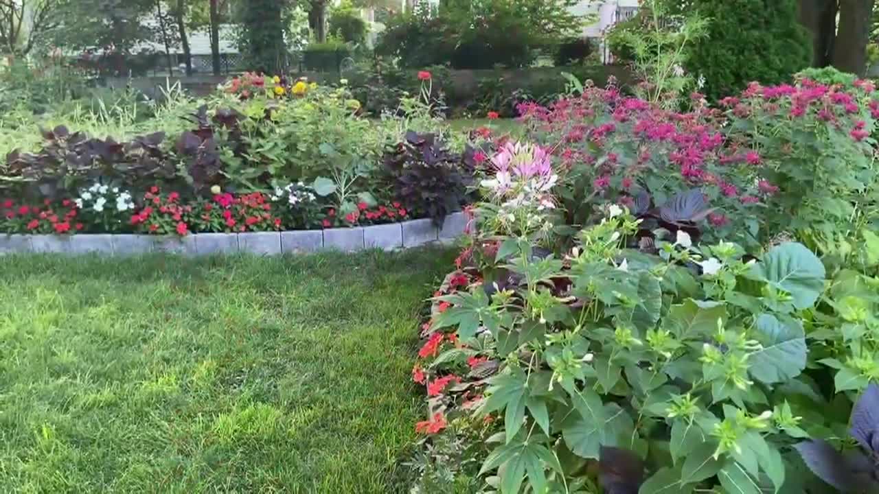 Thumbnail image for Lady Wisdom Speaks!