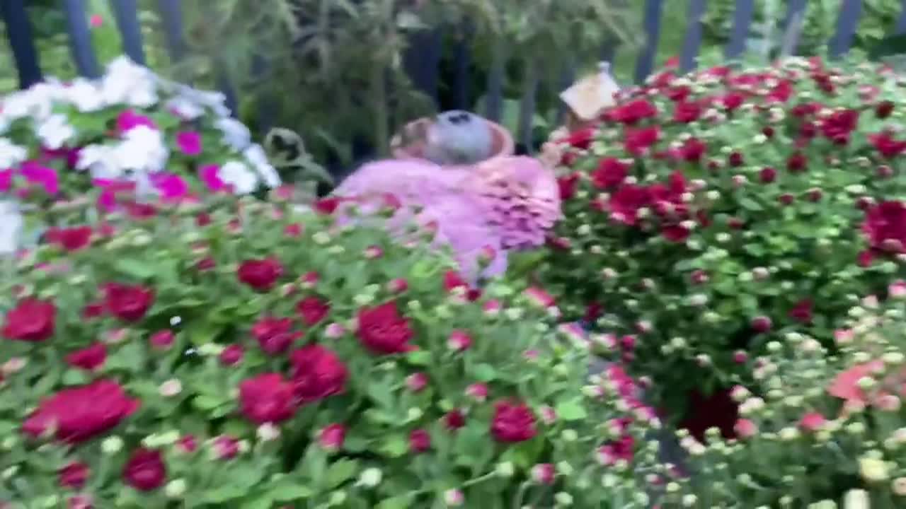 Thumbnail image for Lady Wisdom Speaks!