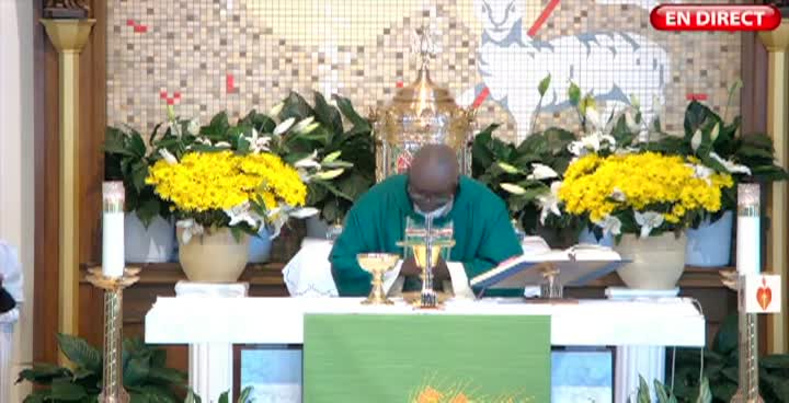 Thumbnail image for Tele Saint Angela