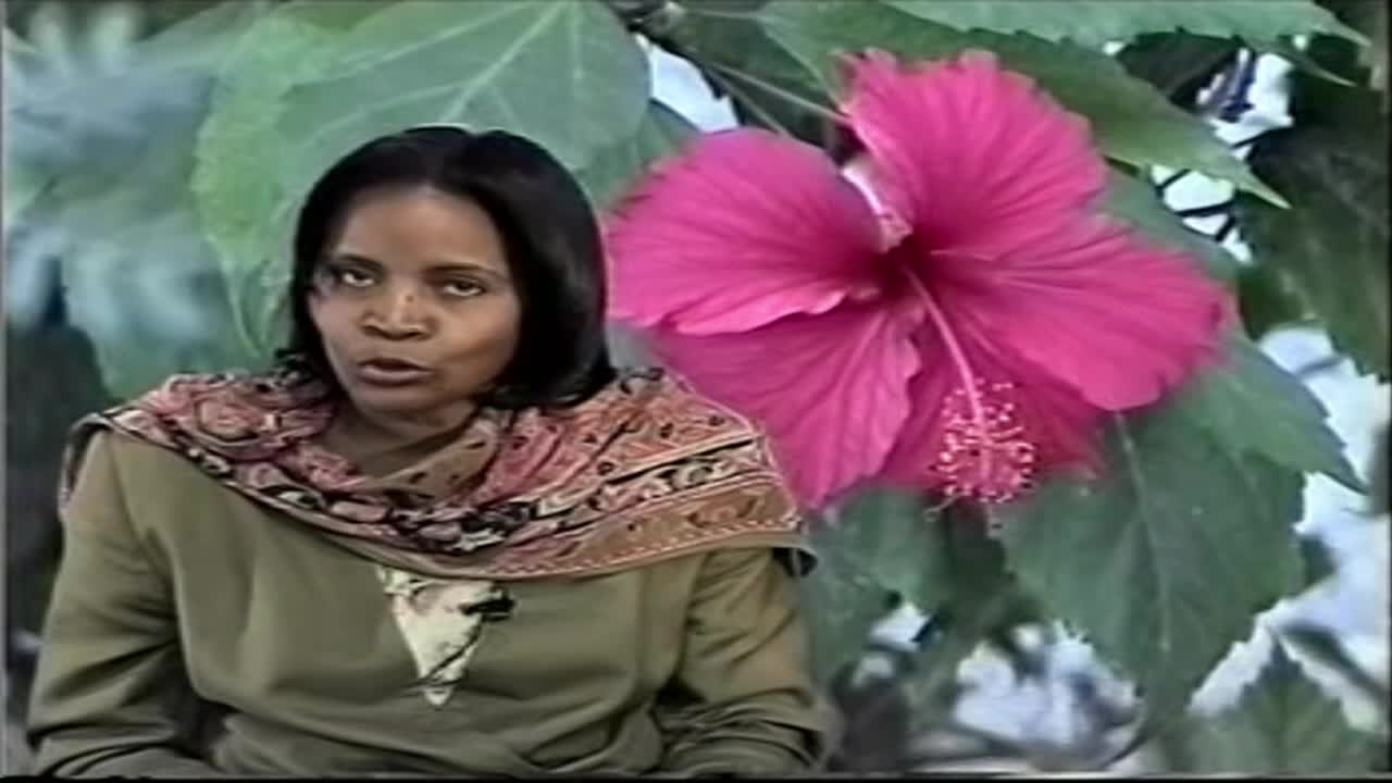 Thumbnail image for La Derniere Heure TV