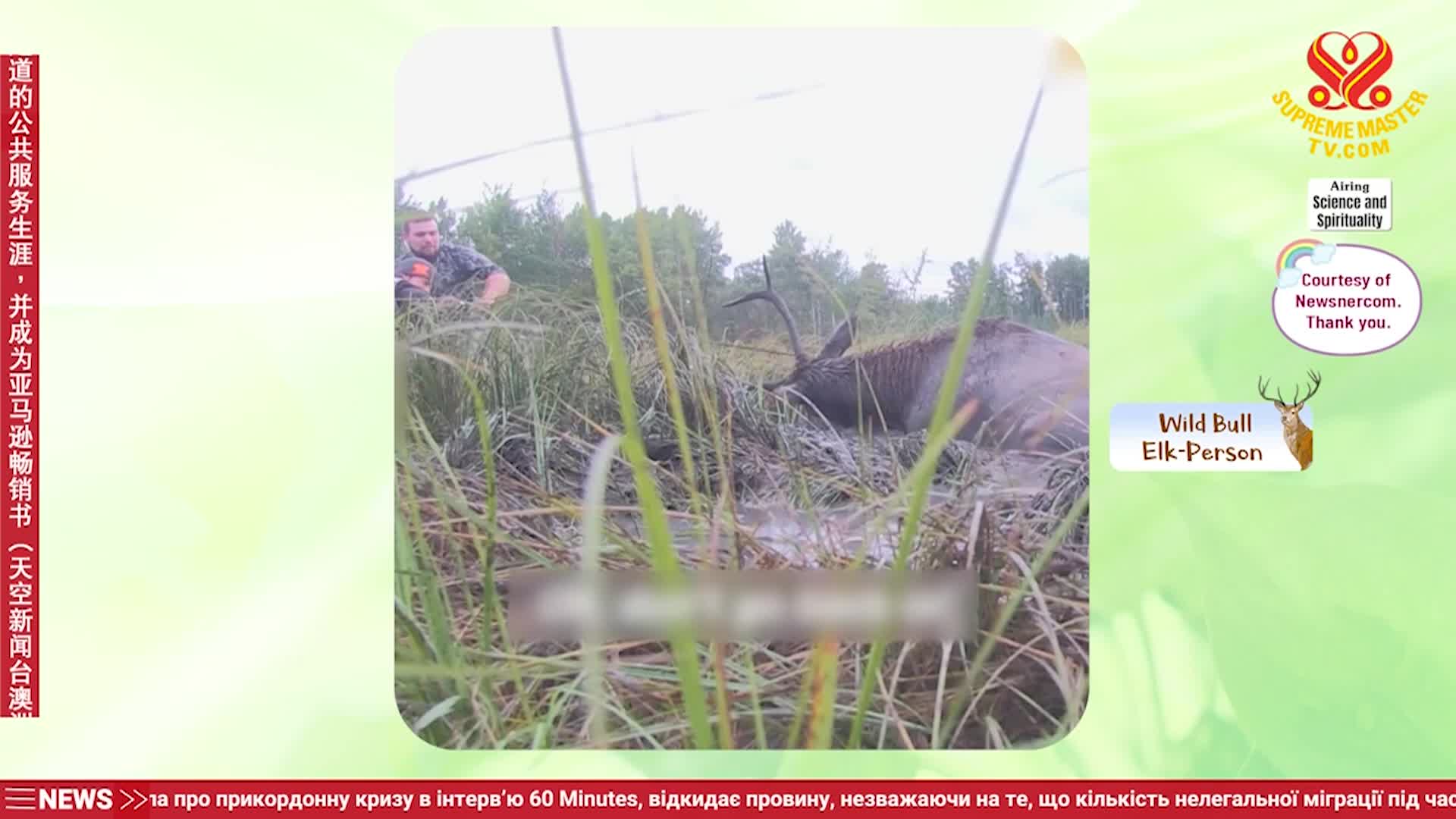 Supreme Master Television