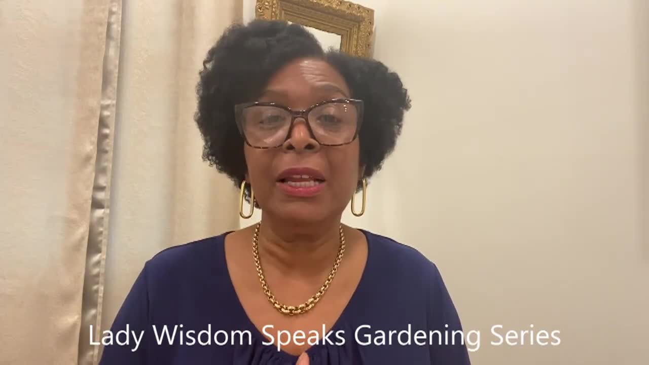 Thumbnail image for Lady Wisdom Speaks!