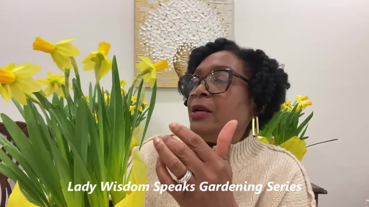 Thumbnail image for Lady Wisdom Speaks!