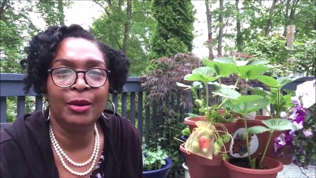 Thumbnail image for Lady Wisdom Speaks!