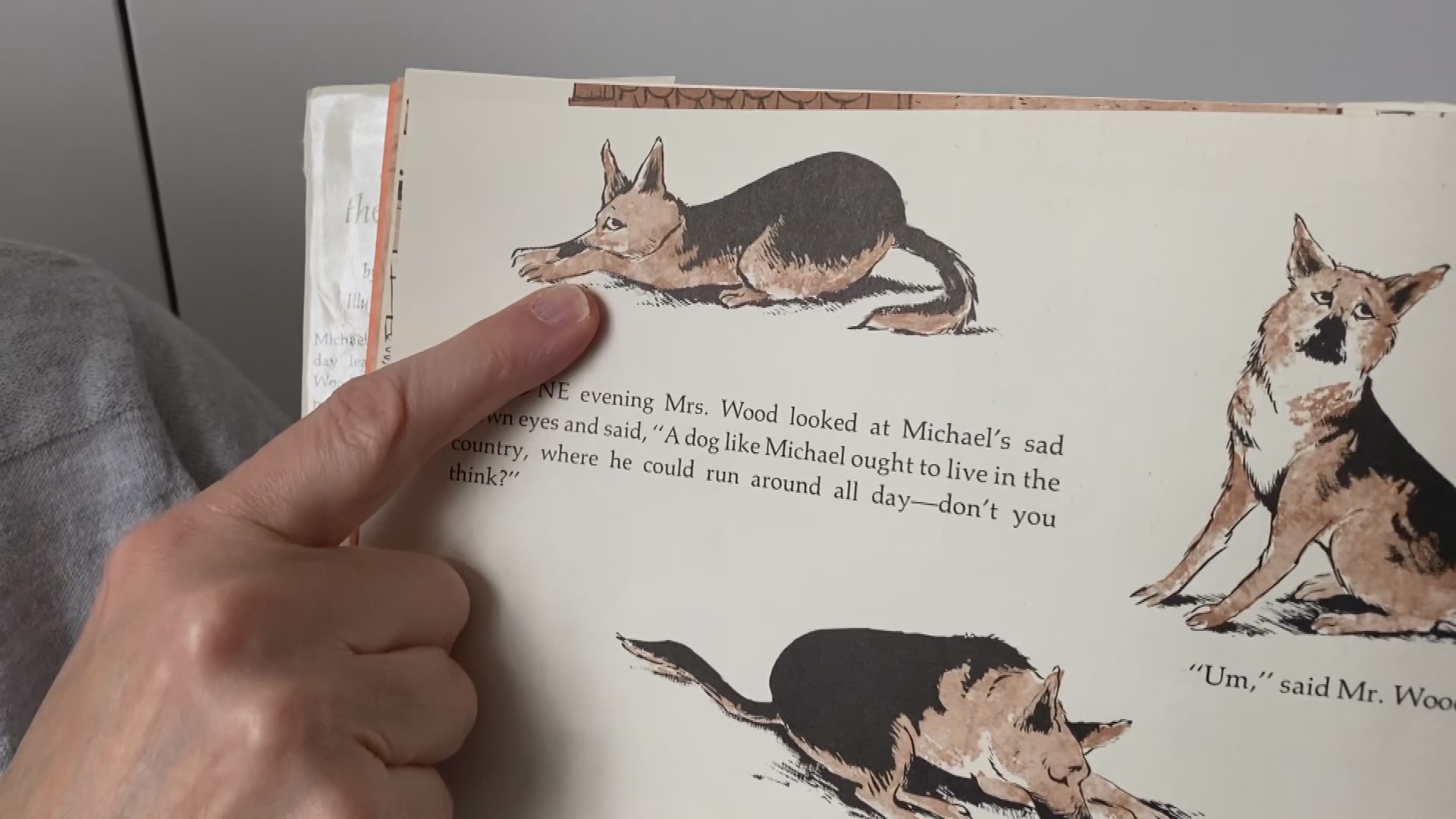 Thumbnail image for Michael the Upstairs Dog